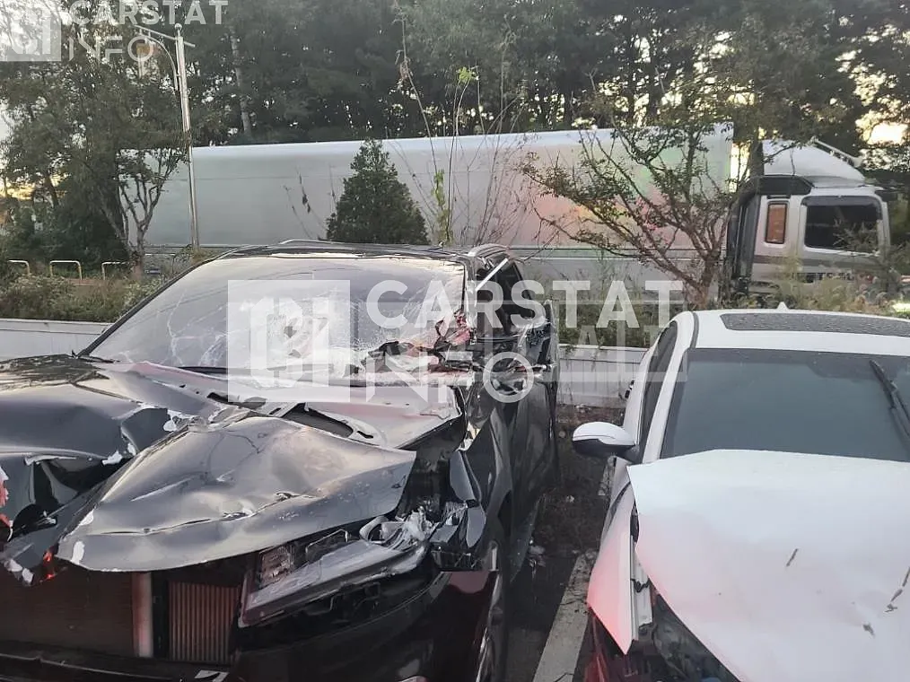 Photo 2 of 2: 2018 Kia Carnival 9 -Seater — Korean insurance auction