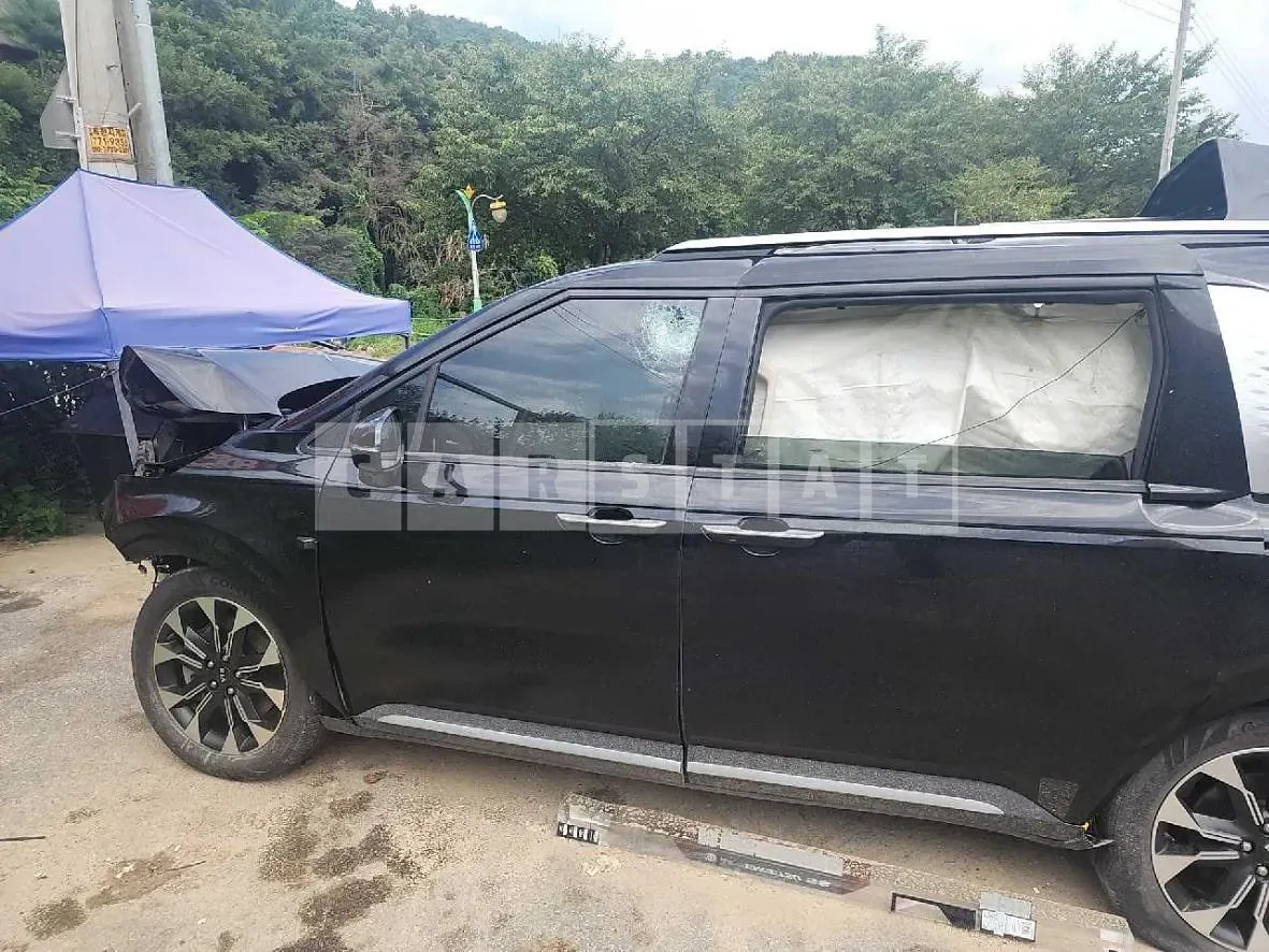 Photo 2 of 17: 2020 Kia Carnival 2.2 — Korean insurance auction