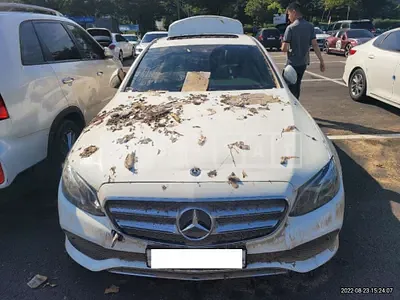 Photo 1 of 12: 2019 Mercedes-Benz E300, VIN WDDZF4JB4KA540872 — Korean insurance auction