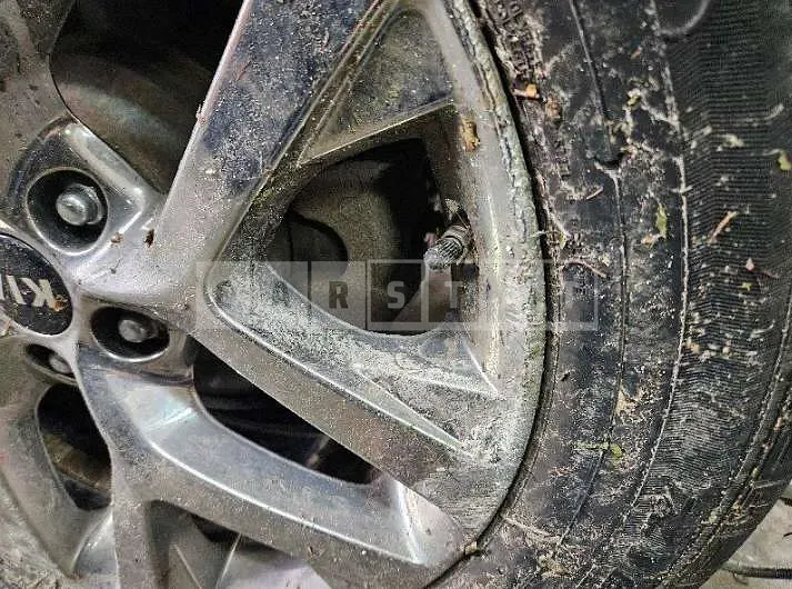 Photo 2 of 52: 2020 Kia Sorento — Korean insurance auction