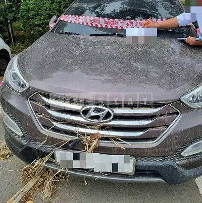 Photo 1 of 3: 2014 Hyundai Calm Santa Fe 2.0 — Korean insurance auction
