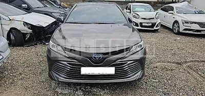 2019 Toyota CAMRY hybrid