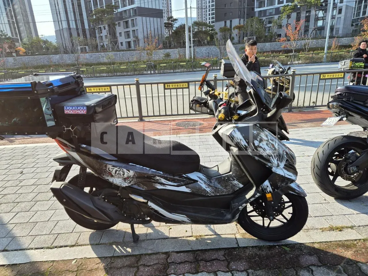 Photo 2 of 11: 2024 Honda Motorcycle Forza 350 — Korean insurance auction