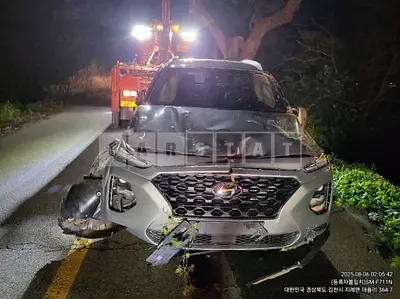 Photo 1 of 14: 2019 Hyundai Santa Fe — Korean insurance auction