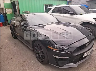 Photo 1 of 19: 2020 Ford Mustang 2.3 Coupe, VIN 1FA6P8THXL5107799 — Korean insurance auction