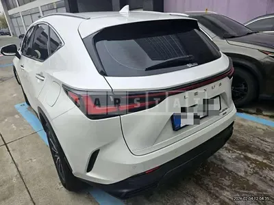 2025 Lexus NX450h