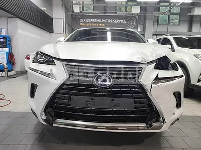 Photo 1 of 9: 2019 Lexus NX300h, VIN JTJBJRBZXK2121905 — Korean insurance auction