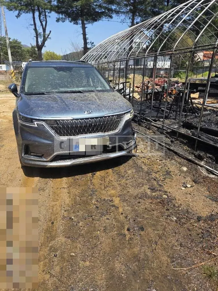Photo 2 of 10: 2021 Kia Carnivals — Korean insurance auction