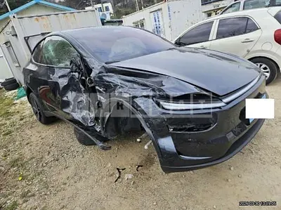 Photo 1 of 11: 2025 Tesla Model Y RWD — Korean insurance auction