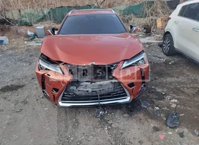 Photo 1 of 12: 2019 Lexus UX250h AWD — Korean insurance auction