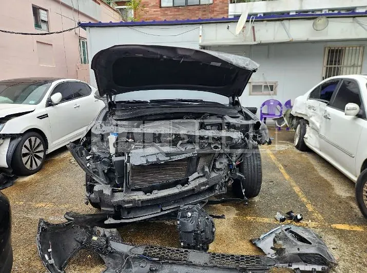 Photo 2 of 29: 2019 Hyundai Santa Fe TM 2.0, VIN KMHS381BBLU203297 — Korean insurance auction