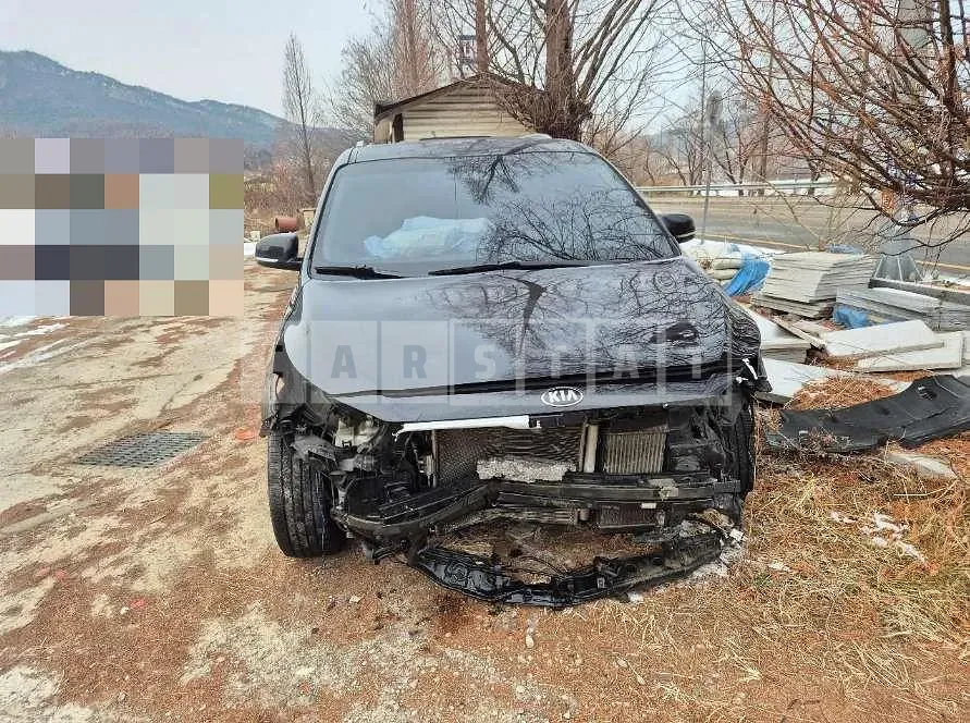 Photo 2 of 12: 2015 Kia Carnivals — Korean insurance auction