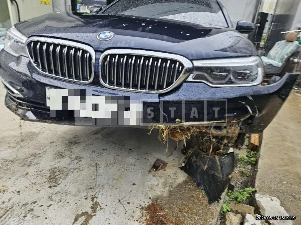 Photo 2 of 38: 2020 BMW 530i Luxury — Korean insurance auction