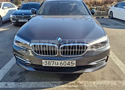 Photo 1 of 19: 2020 BMW 530i xDrive Luxury — Korean insurance auction