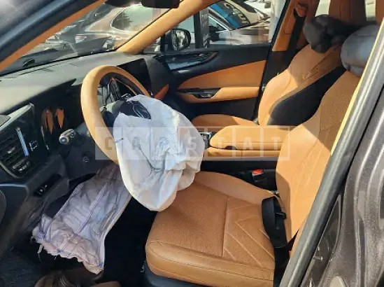 Photo 2 of 19: 2024 Lexus NX450h+ — Korean insurance auction
