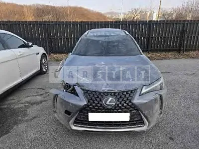 Photo 1 of 14: 2019 Lexus UX250h AWD — Korean insurance auction
