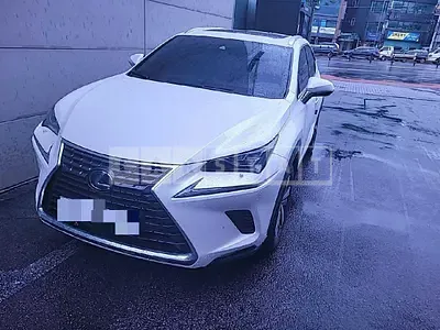 2019 subxus nx300h