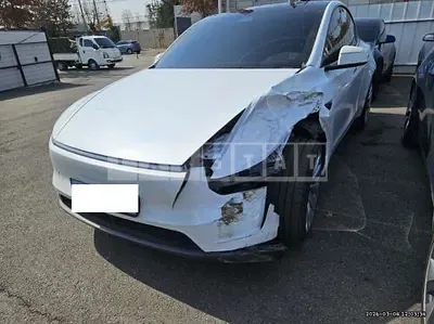 Photo 1 of 47: 2025 Tesla Model Y LongRange, VIN LRWYGCEK2SC313155 — Korean insurance auction