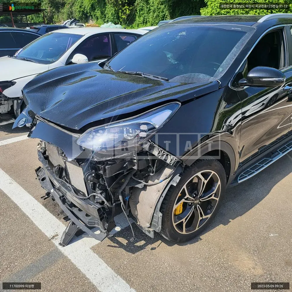 Photo 2 of 11: 2019 Kia Sportage, VIN KNAPR813DLK750243 — Korean insurance auction