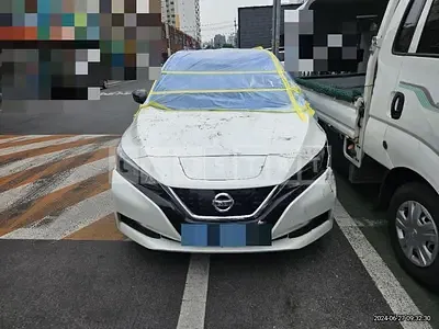 Photo 1 of 31: 2019 Nissan Leaf — Korean insurance auction