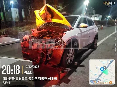 Photo 1 of 11: 2019 Hyundai Tucson, VIN KMHJ3812GLU192998 — Korean insurance auction