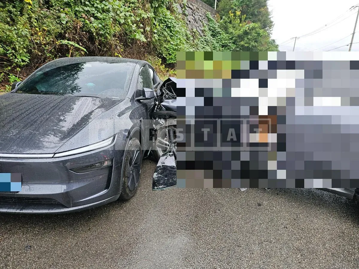 Photo 2 of 4: 2025 Tesla Model Y — Korean insurance auction