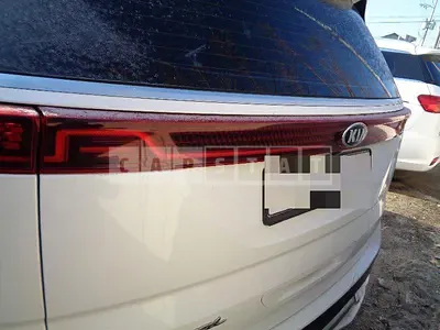 Photo 1 of 17: 2020 Kia Carnival 2.2 (9 Seater) — Korean insurance auction