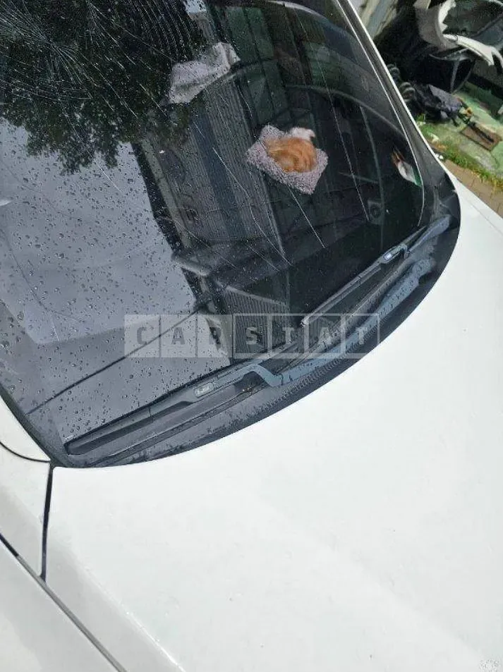 Photo 2 of 15: 2014 Hyundai Santa Fe DM 2.0 — Korean insurance auction