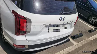 Photo 1 of 8: 2019 Hyundai Palisade 2.2 (4WD) — Korean insurance auction