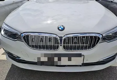 Photo 1 of 18: 2020 BMW 520d xDrive Luxury — Korean insurance auction
