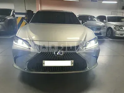 Photo 1 of 14: 2021 Lexus ES300h, VIN JTHBA1C19M2005366 — Korean insurance auction