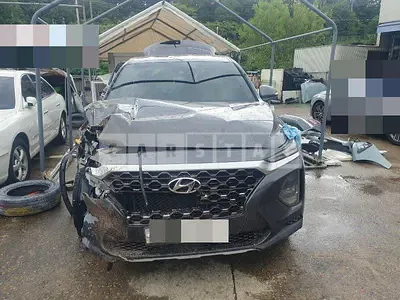 Photo 1 of 30: 2020 Hyundai Santa Fe TM Diesel 2.0 4WD, VIN KMHS281BDLU284037 — Korean insurance auction