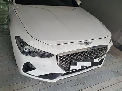 Photo 1 of 14: 2019 Genesis Acupuncture Nessis G70 2.0T — Korean insurance auction