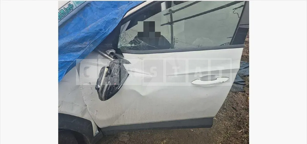 Photo 2 of 39: 2024 Hyundai Tucson NX4 Hybrid — Korean insurance auction