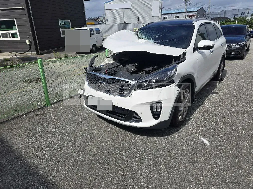 Photo 2 of 11: 2019 Kia Sorento 2.0 — Korean insurance auction