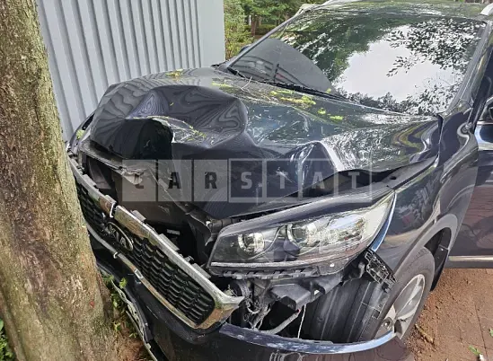 Photo 2 of 7: 2019 Kia Sorento — Korean insurance auction