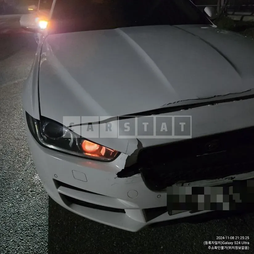 Photo 2 of 9: 2016 Jaguar XE 2.0d — Korean insurance auction