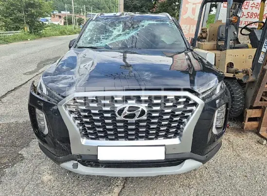 Photo 2 of 12: 2020 Hyundai Palisade — Korean insurance auction