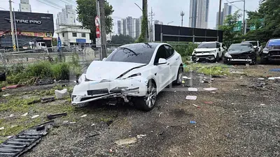 Photo 1 of 19: 2021 Tesla Model Y Long Range, VIN 5YJYGDEE8MF169040 — Korean insurance auction