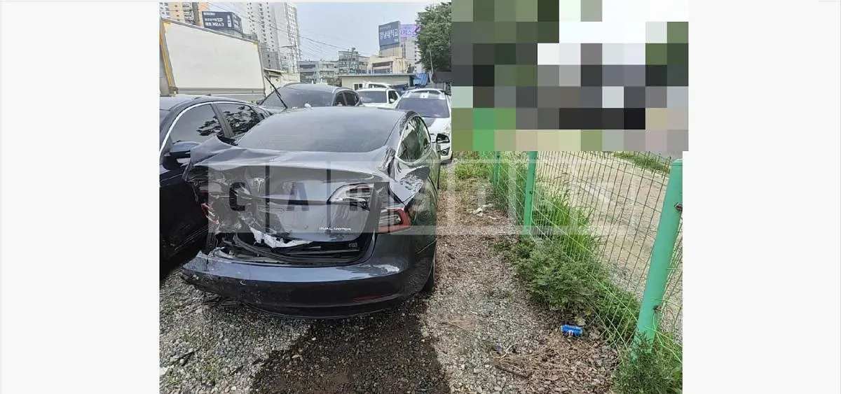 Photo 2 of 17: 2020 Tesla Model 3 Long Range — Korean insurance auction