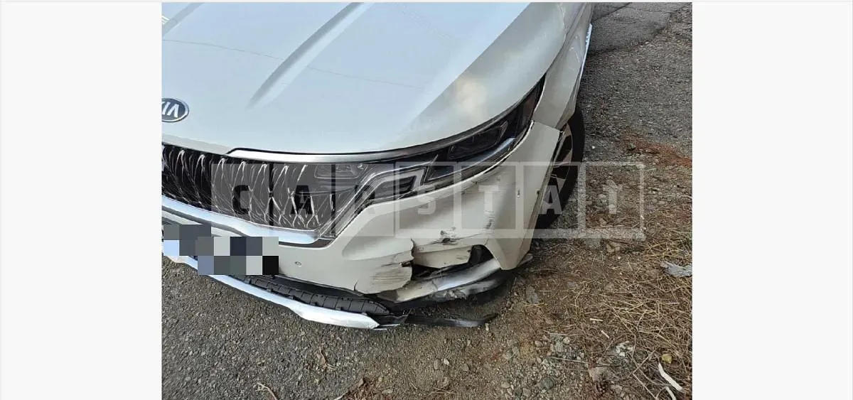 Photo 2 of 15: 2021 Kia Carnival Gasoline — Korean insurance auction
