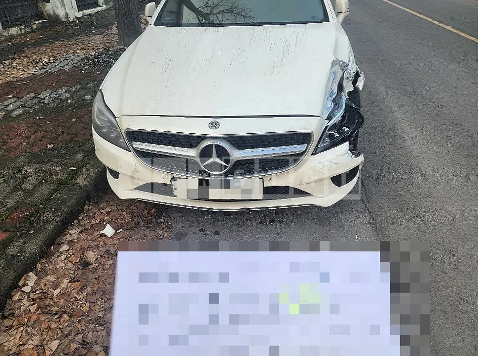 Photo 2 of 14: 2017 Mercedes-Benz CLS250 d 4Matic — Korean insurance auction