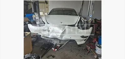 Photo 1 of 25: 2020 Tesla Model 3 Standard Range Plus RWD — Korean insurance auction