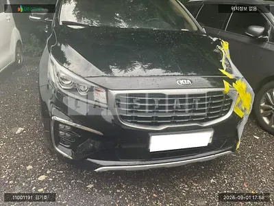 2018 Carnival carnival limousine
