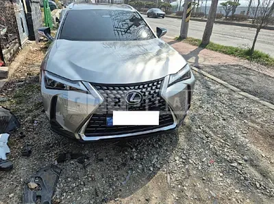 2025 Lexus UX300h 2WD