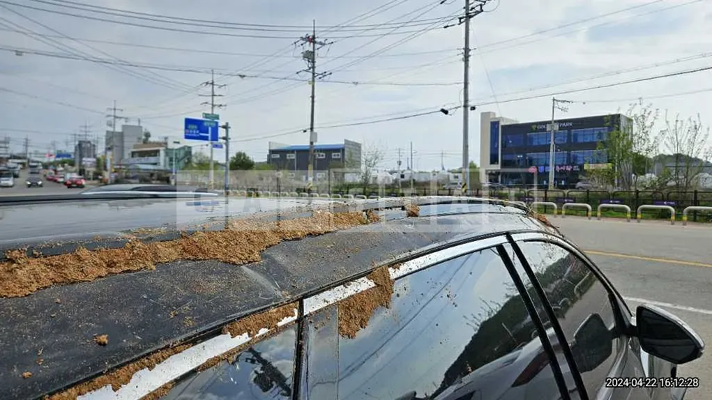 Photo 2 of 18: 2023 Hyundai Tucson — Korean insurance auction