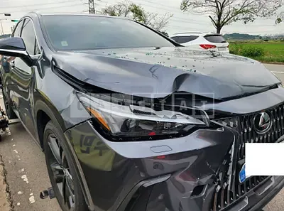 Photo 1 of 9: 2025 Lexus NX350h — Korean insurance auction