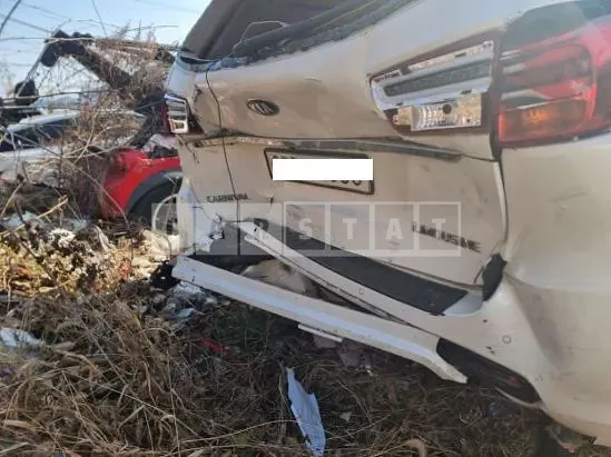 Photo 2 of 8: 2019 Kia Carnival Limousine, VIN KNAME81ABKS477233 — Korean insurance auction
