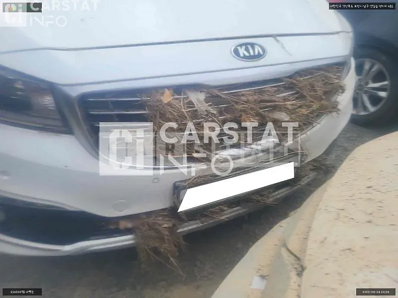Photo 2 of 6: 2015 Kia Carnival Mujin, VIN KNAMB81ABGS098504 — Korean insurance auction