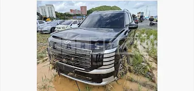 Photo 1 of 41: 2025 Hyundai Palisade 2.5T (Gasoline) — Korean insurance auction